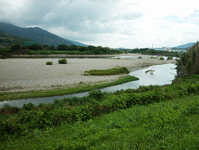 紀の川左岸の無堤防区間（向こう岸）＝2020年6月12日、和歌山県九度山町