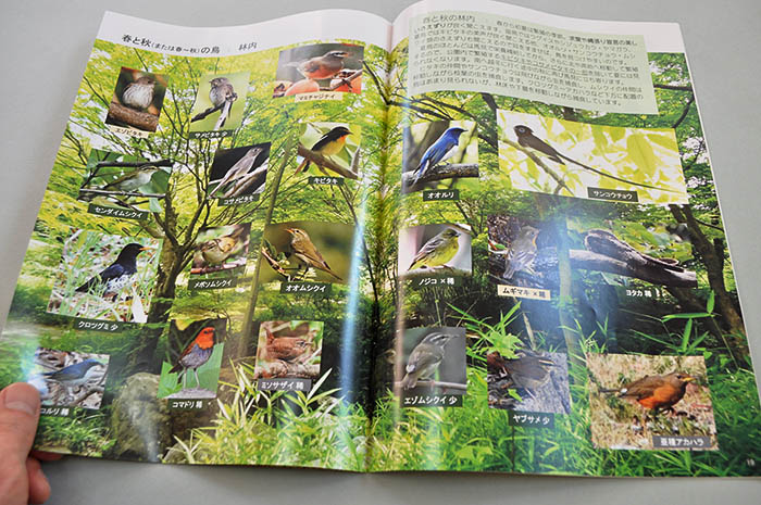 来場者に配布されている小冊子「馬見丘陵公園の野鳥」