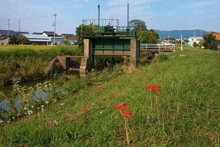 堰があったときの地蔵院川＝2013年9月22日