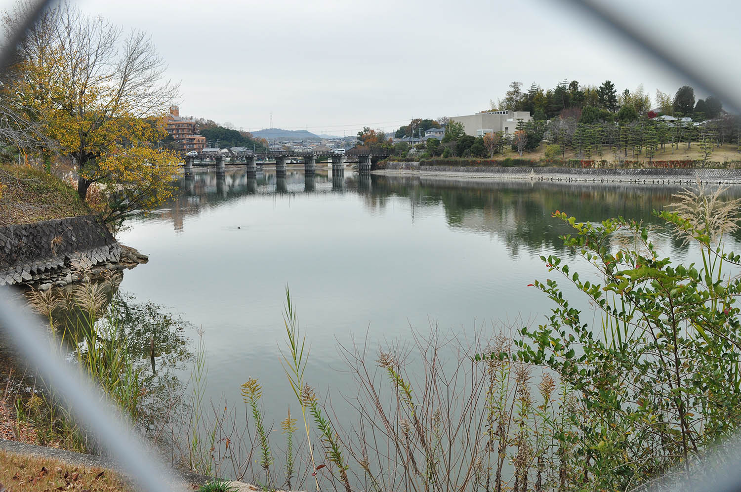 西奈良県民センター跡地に隣接する県立大渕池公園の池の眺め＝2022年12月4日、奈良市登美ケ丘2丁目