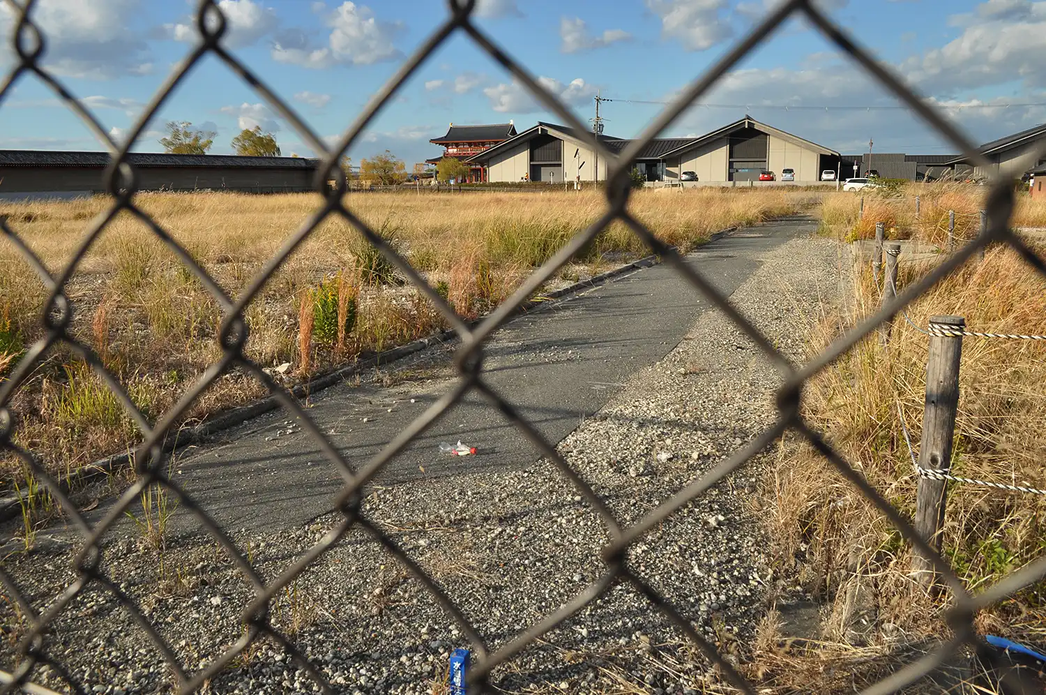 中止になった歴史体験学習館計画の用地。かつて道路の両側には住宅が立っていた。奥は平城宮跡に復元された朱雀門＝2024年12月6日、奈良市二条大路南3丁目、浅野善一撮影